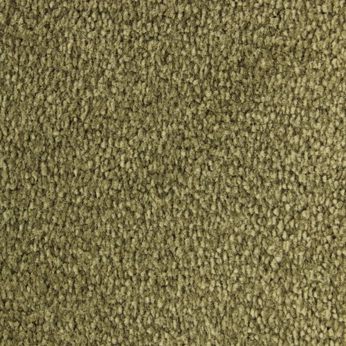 WHISPER/234 Olive