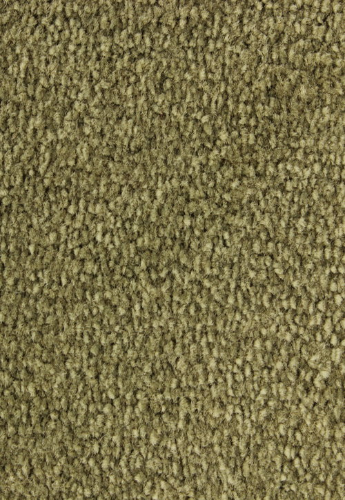 WHISPER/234 Olive WHISPER/234 Olive